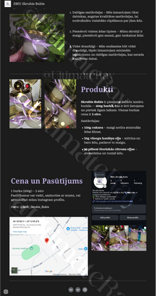 Brand website (Google slides)
